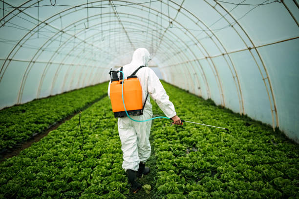 Best Affordable Exterminators  in Madison, WI